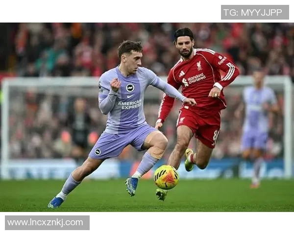 探索索博斯洛伊的历史与文化魅力揭示其在现代社会的独特价值